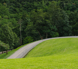 The background picture of the green meadow hills on a good morning. The backdrop is curved concrete roads and many trees. Feeling fresh and peaceful. The idea for a natural garden with copy space.