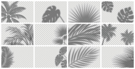 Realistic shadow overlay effect for mockup scenes and backgrounds. Vector set of transparent soft shadows of tropical leaves, branches, plants and palm trees.  © Maria