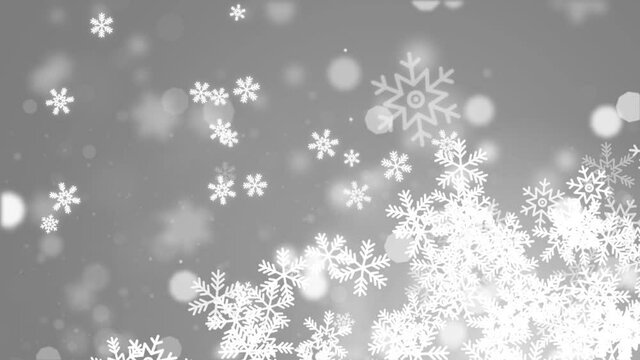 White Abstract falling snowflakes isolated on loop 4K background. Winter background with snow and snowflakes. Magic white snowfall texture. Christmas design
