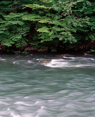 新緑と流れ