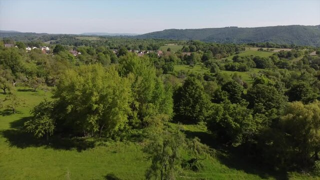 Streuobstwiesen, gef&auml;hrdeter Lebensraum im Rheintal bei Boppard-Buchenau