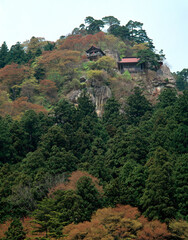 Fototapeta na wymiar 新緑の山寺