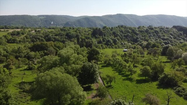 Streuobstwiesen, gef&auml;hrdeter Lebensraum im Rheintal bei Boppard-Buchenau