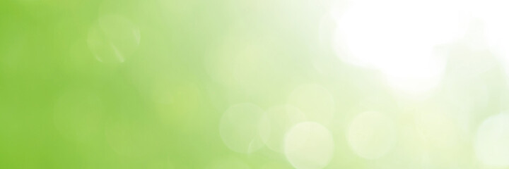 Green Leaf background. Blurred leaves and circular bokeh. Abstract for design and wallpaper.