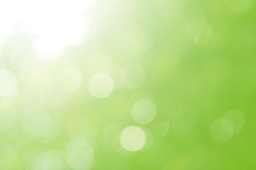 Green Leaf background. Blurred leaves and circular bokeh. Abstract for design and wallpaper.