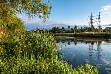 The bank of the river overgrown with high reeds in the rays of the setting sun.