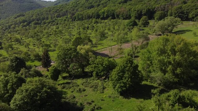 Streuobstwiesen, gef&auml;hrdeter Lebensraum im Rheintal bei Boppard-Buchenau