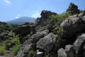 鬼押出しの溶岩と浅間山