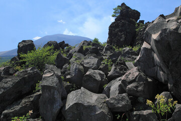 鬼押出しの溶岩と浅間山