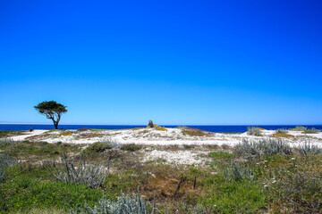 17-Mile Drive, California