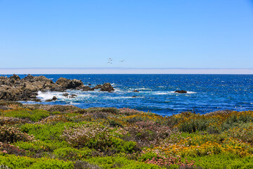 17-Mile Drive, California