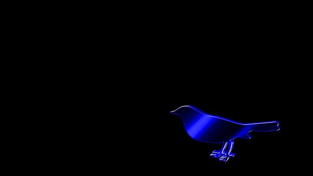 Animals 204