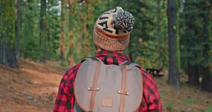 Slow motion: man hiking in green forest on sunny autumn day. Back view of active healthy male with a backpack walking in pine woods. Male traveler walks by trail exploring nature. Leisure, bio-tourism