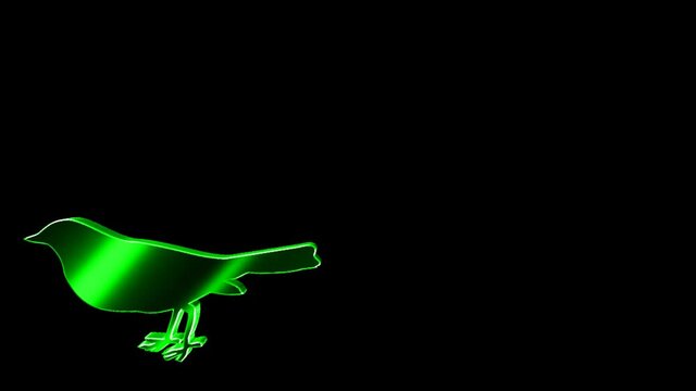 Animals 207