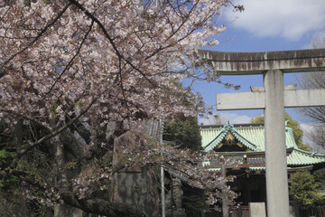 牛嶋神社