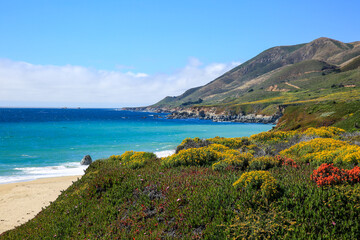 The Big Sur coast,  California 