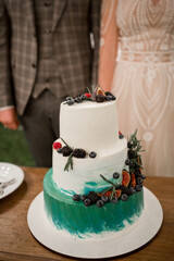 bride and groom cut the wedding cake