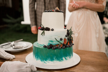 bride and groom cut the wedding cake