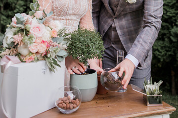 the groom and bride plant a tree at the ceremony