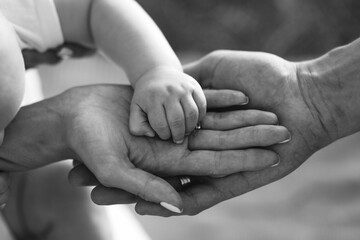 Family hands of father, mother and child together in black and white. Close up of loving mom dad and kid hold hands. Family value concept - 382061686