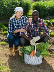 Fototapeta premium Friendly couple with a basket of vegetables in the garden. High quality photo