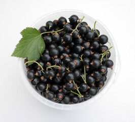Fresh ripe black currants in a white plastic cup on white background