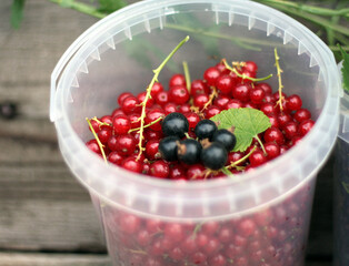Ripe red currants in white plastic cup on wooden table