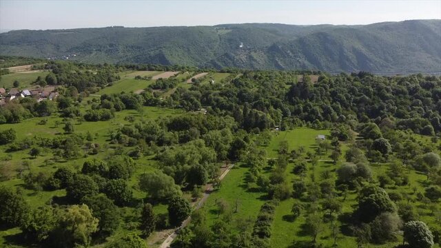 Streuobstwiesen, gef&auml;hrdeter Lebensraum im Rheintal bei Boppard-Buchenau
