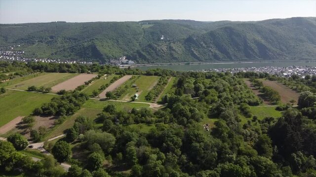 Streuobstwiesen, gef&auml;hrdeter Lebensraum im Rheintal bei Boppard-Buchenau