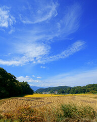 青空の下、山村の黄金色に輝く稲田のある風景