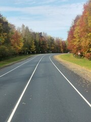 Autumn road, autumn, landscape