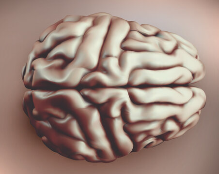 vector human brain in retro style, top view