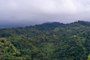 On the slope of the Kilimandjaro
