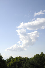 空と雲と森