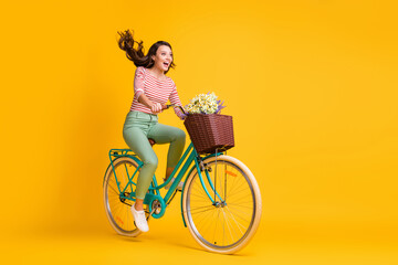 Full length body size photo of amazed girl shouting riding bicycle with basket of flowers isolated on vivid yellow color background
