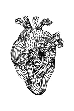 the human heart with a monochrome line drawing. artistic touch isolated on a white background. vector illustration drawn by hands. For interior design, posters, t-shirts