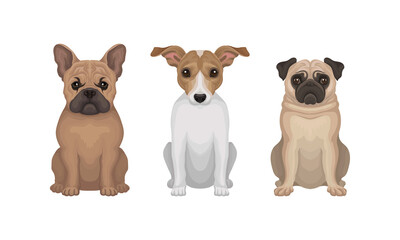 Purebred Dogs Sitting on Hind Legs Vector Set