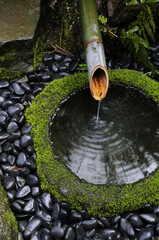 Fototapeta premium 寺の手水場