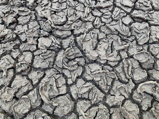 dry cracked soil. texture of the ground. cracked earth.