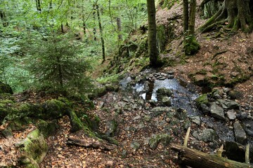 Schöne Bachlandschaft im Thüringer Wald  im Spittergrund bei Tambach Dietharz - Die Spitter ist eine der wenigen noch unverbauten Bäche in Thüringen.