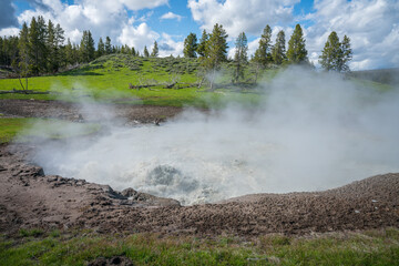 hydrothermal springs on mud volcano trail in yellowstone national park, wyoming, usa