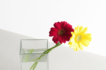 ガラス花瓶に入れた赤と黄色の花