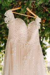 Lace bridesmaid dress on a wooden hanger outside against a background of green leaves.