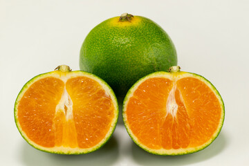 Early maturing mandarin orange (citrus unshiu) in Japan