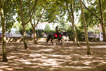Naklejka premium people walking in the park