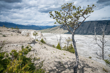 hydrothermal areas of mammoth hot springs in yellowstone national park, wyoming in the usa