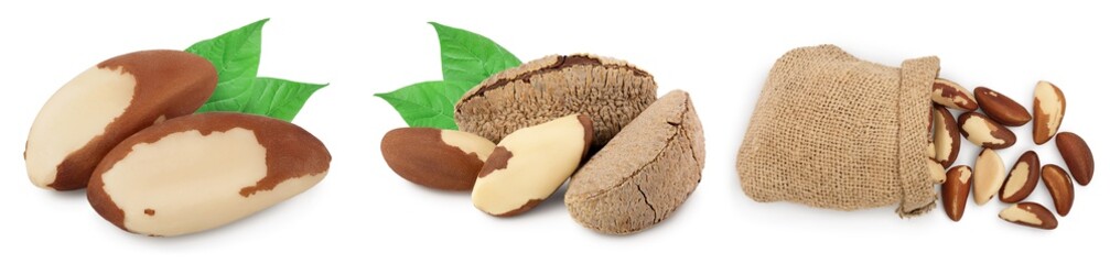 Brasil nuts in nutshell isolated on white background with clipping path and full depth of field. Set or collection