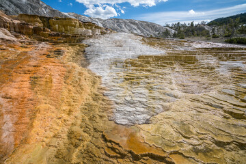 hydrothermal areas of mammoth hot springs in yellowstone national park, wyoming in the usa