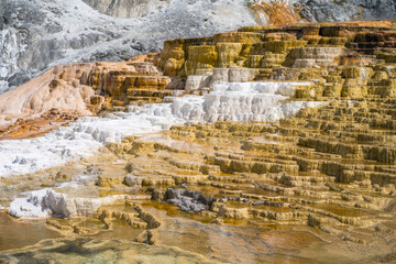 hydrothermal areas of mammoth hot springs in yellowstone national park, wyoming in the usa