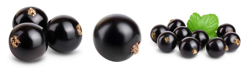 black currant with leaves isolated on white background with clipping path and full depth of field. Set or collection